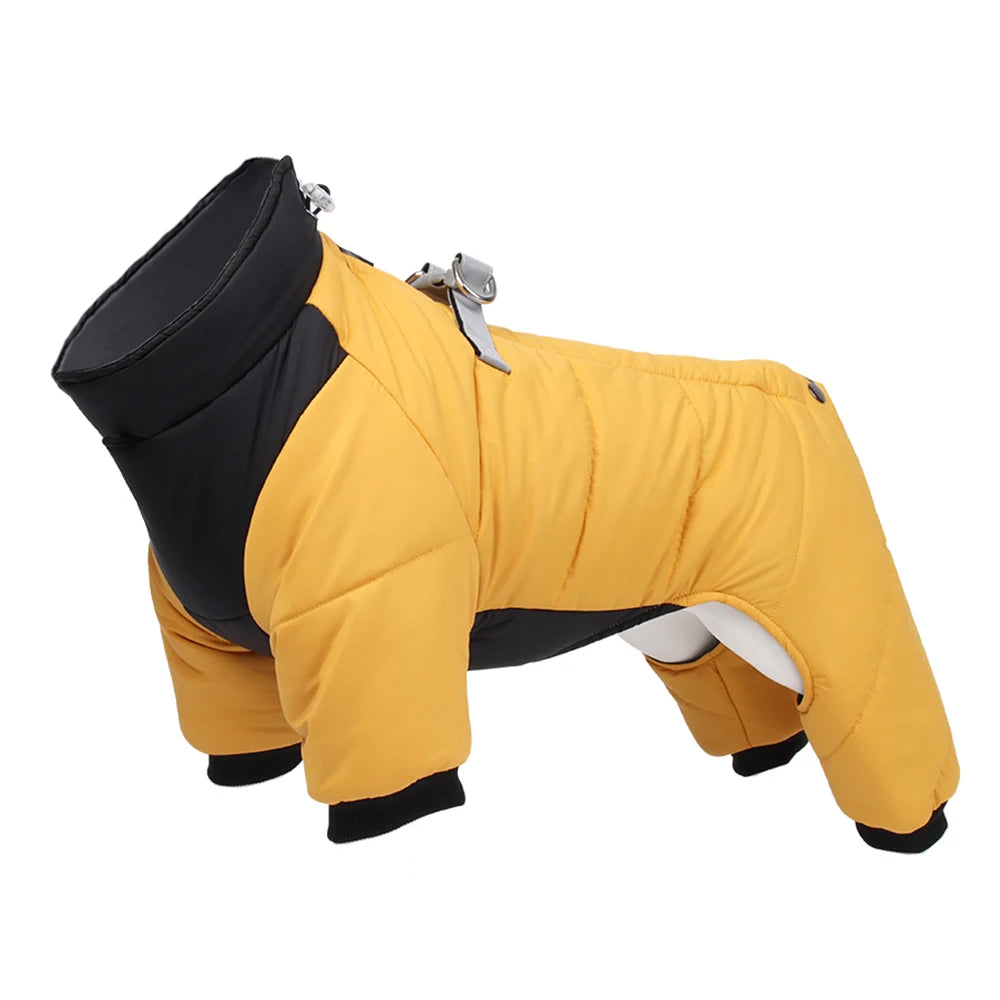 Wasserdichte Winterjacke für Hunde – Warm & Gefüttert für Chihuahua, Bulldogge & Mops