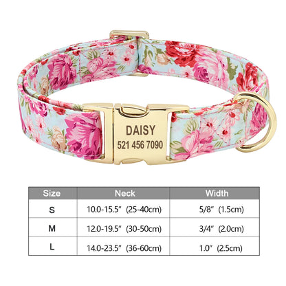 Personalisiertes Hundehalsband mit Gravur