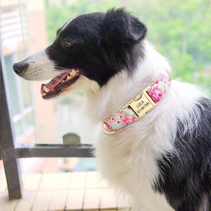 Personalisiertes Hundehalsband mit Gravur