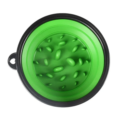 Hundenapf Trinkflasche 1L - Faltbar & Tragbar für Unterwegs