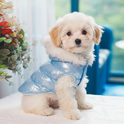 Warmer Wintermantel für kleine Hunde – winddicht, weich & mit Fellkragen