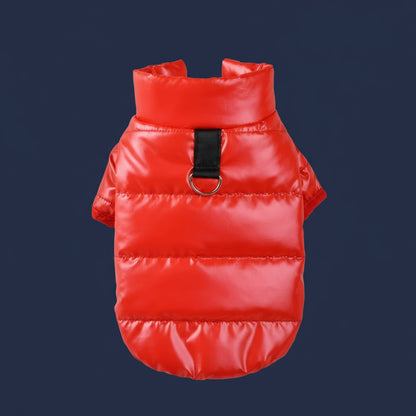 Wärmender Wintermantel für kleine Hunde – wasserdicht, reflektierend, modisch & kuschelig