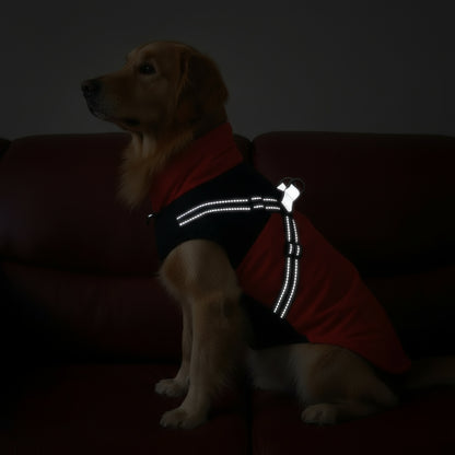 Wasserdichte Winterjacke für Hunde – warm, reflektierend & winddicht – ideal für Französische Bulldoggen & Chihuahua