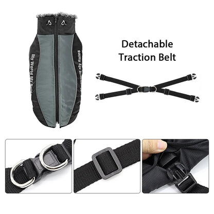 Wasserdichter Wintermantel für große Hunde – mit Geschirr, warm & winddicht