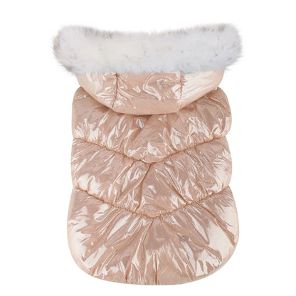 Warmer Wintermantel für kleine Hunde – winddicht, weich & mit Fellkragen