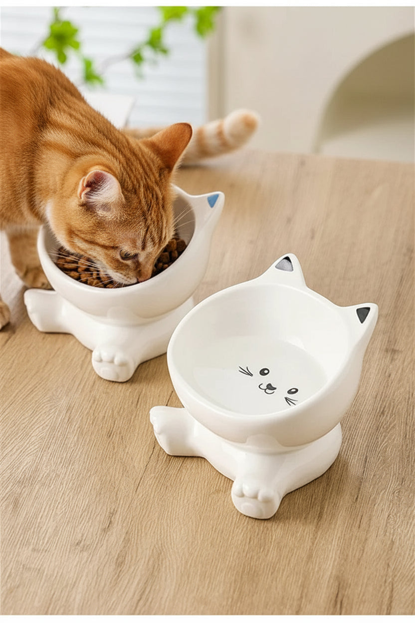 Erhöhter Katzen-Keramiknapf – ergonomischer Futternapf für Katzen & kleine Hunde