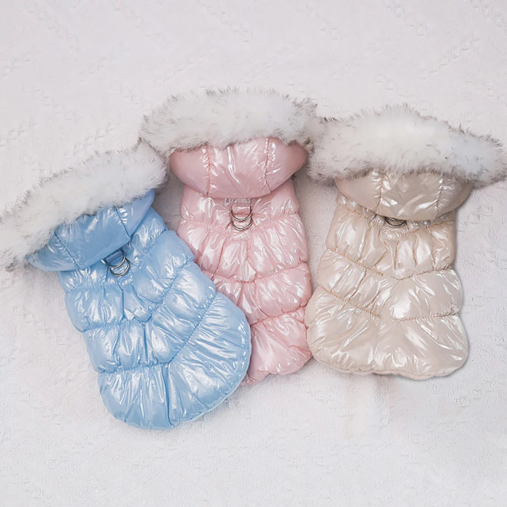 Warmer Wintermantel für kleine Hunde – winddicht, weich & mit Fellkragen