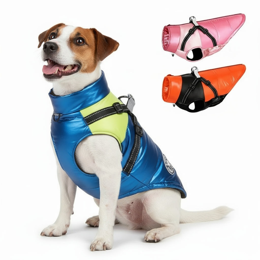 Wasserdichte Winterjacke für Hunde – warm, reflektierend & winddicht – ideal für Französische Bulldoggen & Chihuahua