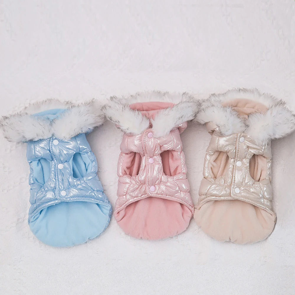 Warmer Wintermantel für kleine Hunde – winddicht, weich & mit Fellkragen